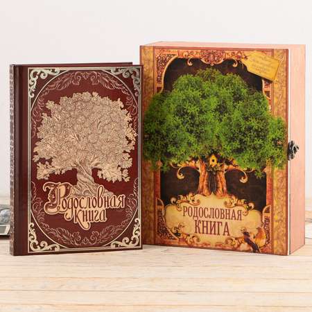 Родословная книга Sima-Land в шкатулке «Древо жизни» 56 листов 20 х 26 см