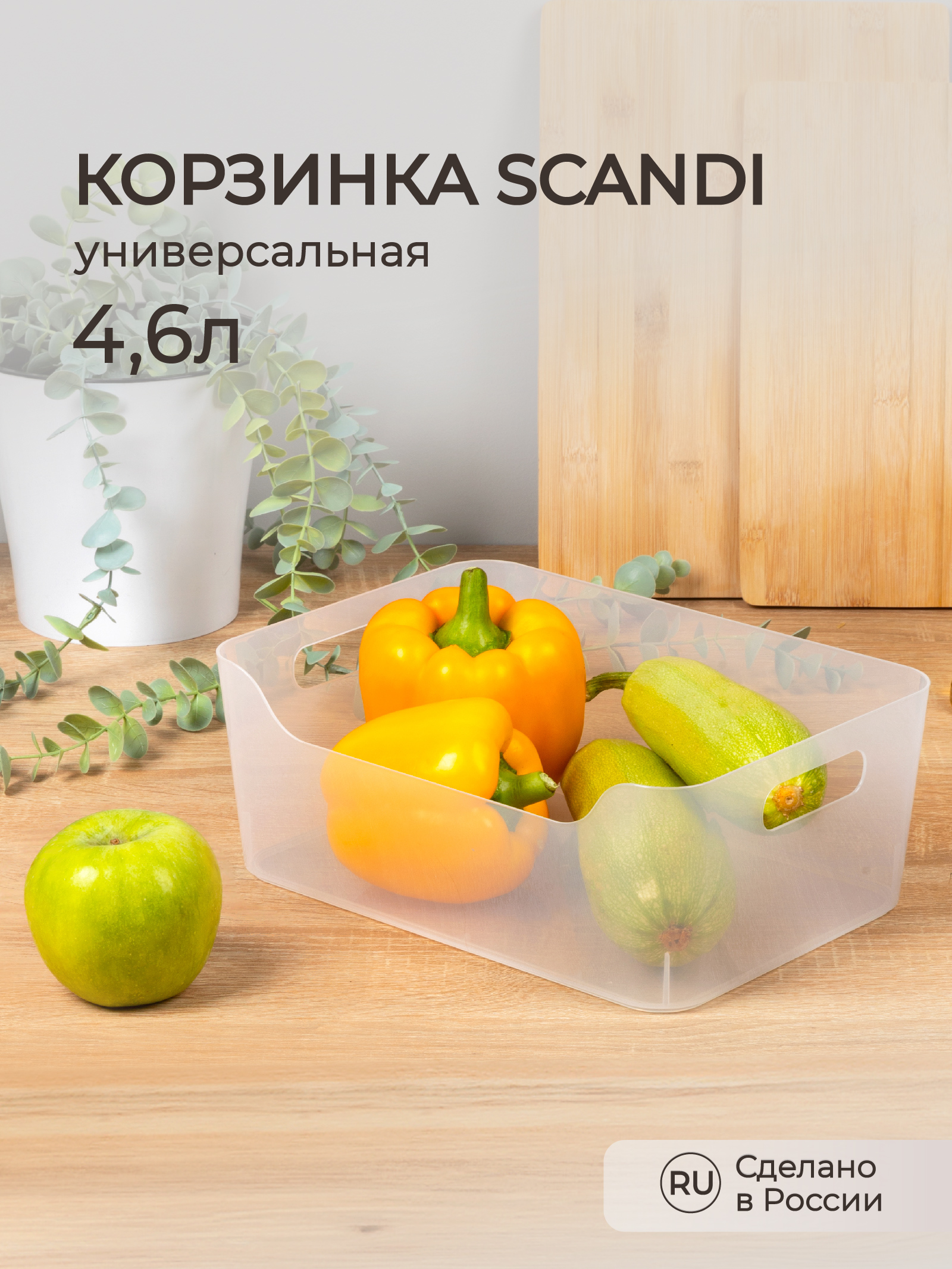 Органайзер универсальный Econova scandi 27х19х10.5 см 4.6 л прозрачная - фото 1