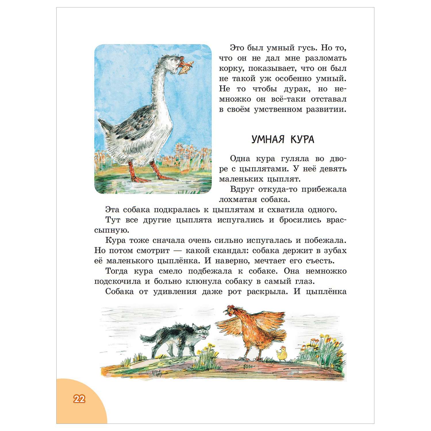Книга 100рассказов для чтения дома и в детском саду - фото 6