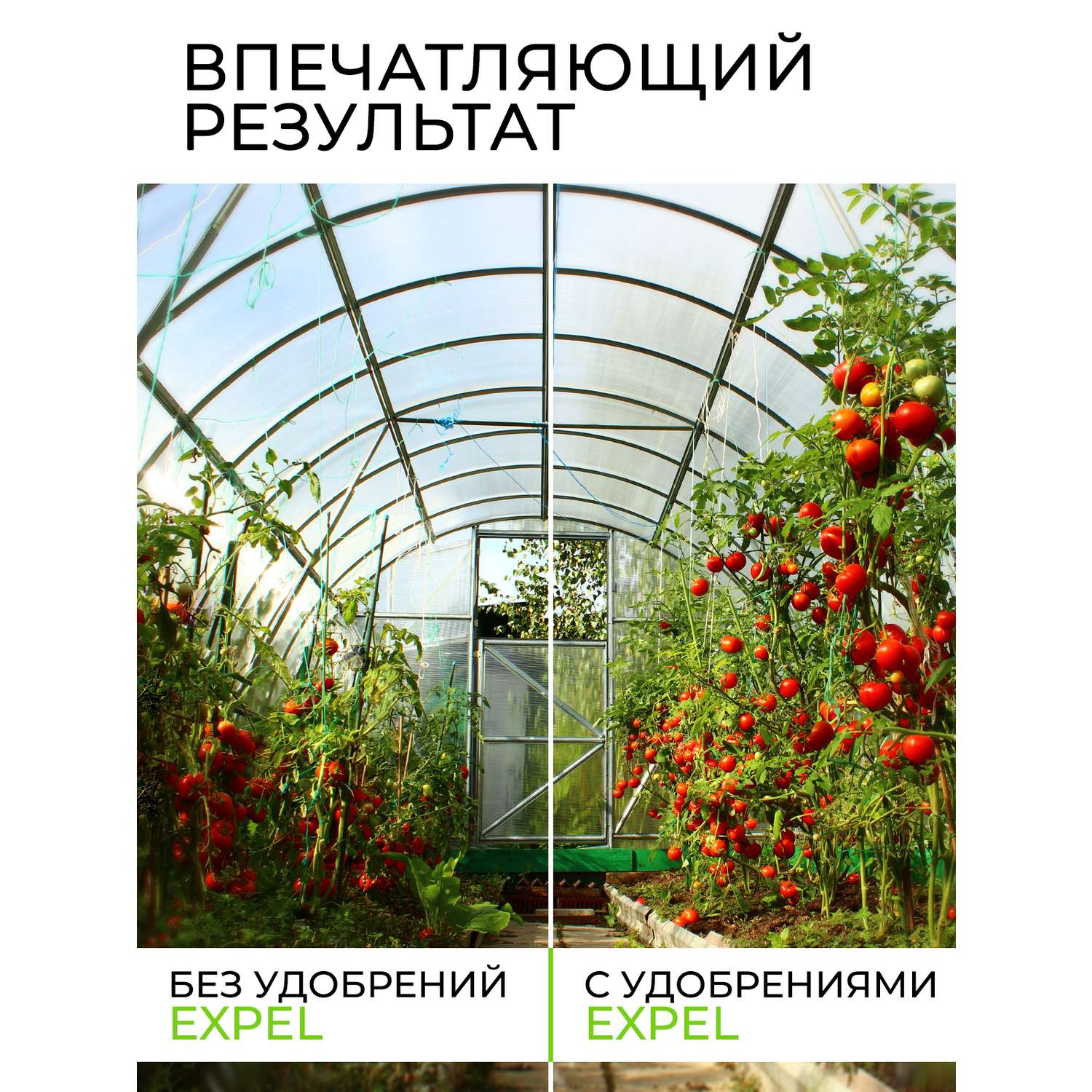 Удобрение для томатов Expel 12 органик микс NPK 4-2-1 - фото 5