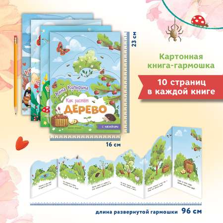 Набор из 4 книг Феникс Премьер Как растет? Книжки-гармошки