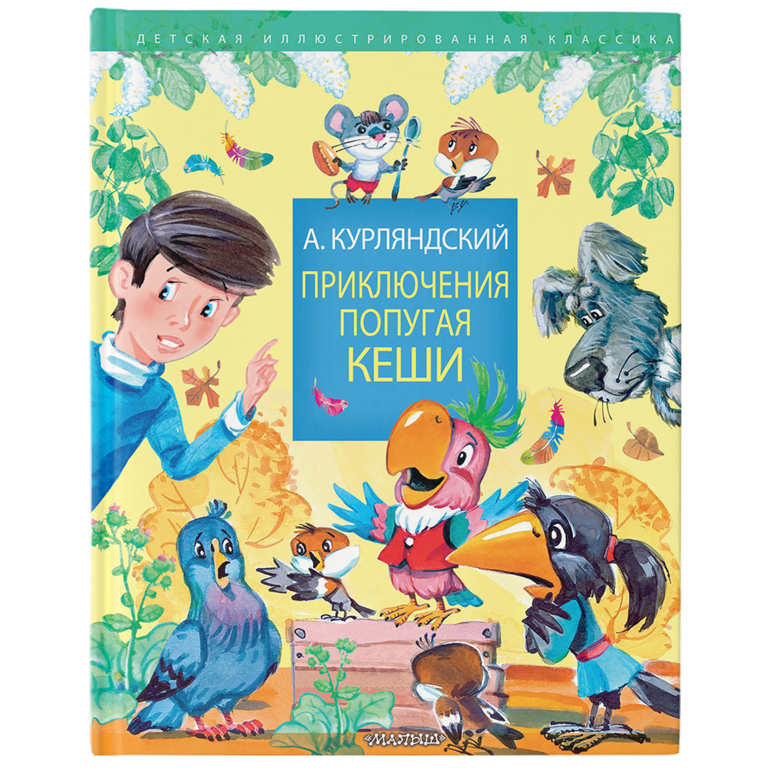 Книга Приключения попугая Кеши купить по цене 818 ₽ в интернет-магазине  Детский мир