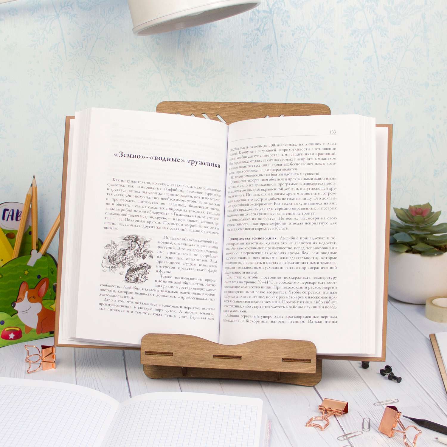 Идеальная подставка для книг и блокнотов на рабочий стол найдена! Цена под | Instagram