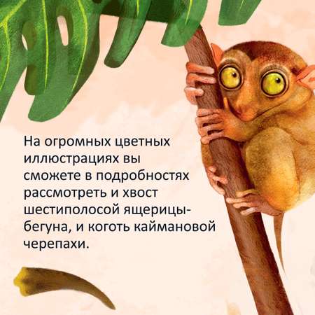 Книга Махаон Рита Мэйбл Скьяво. Самые удивительные животные в натуральную величину