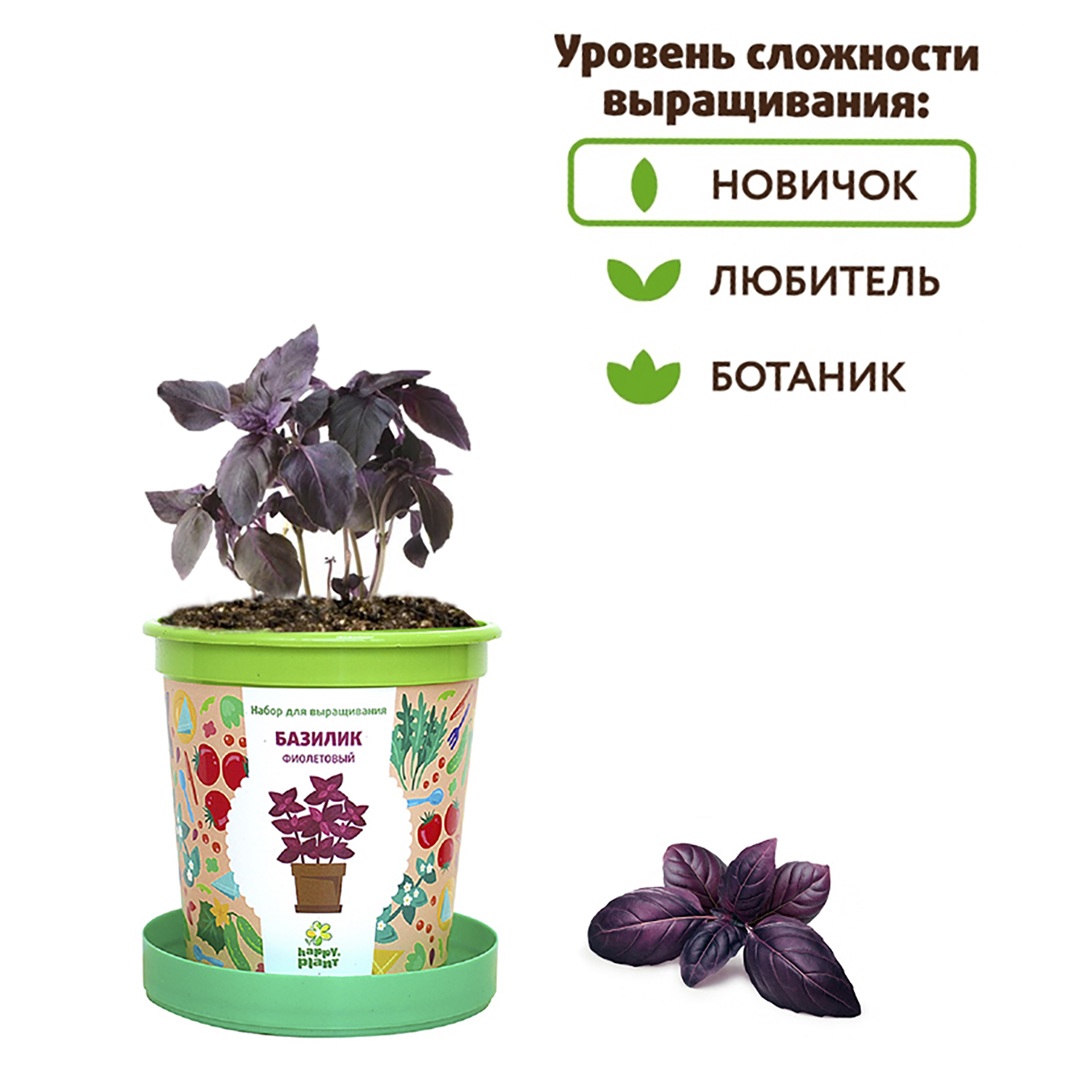 Набор для выращивания Happy Plant Вырасти сам растение в горшочке Базилик  фиолетовый купить по цене 335 ₽ в интернет-магазине Детский мир