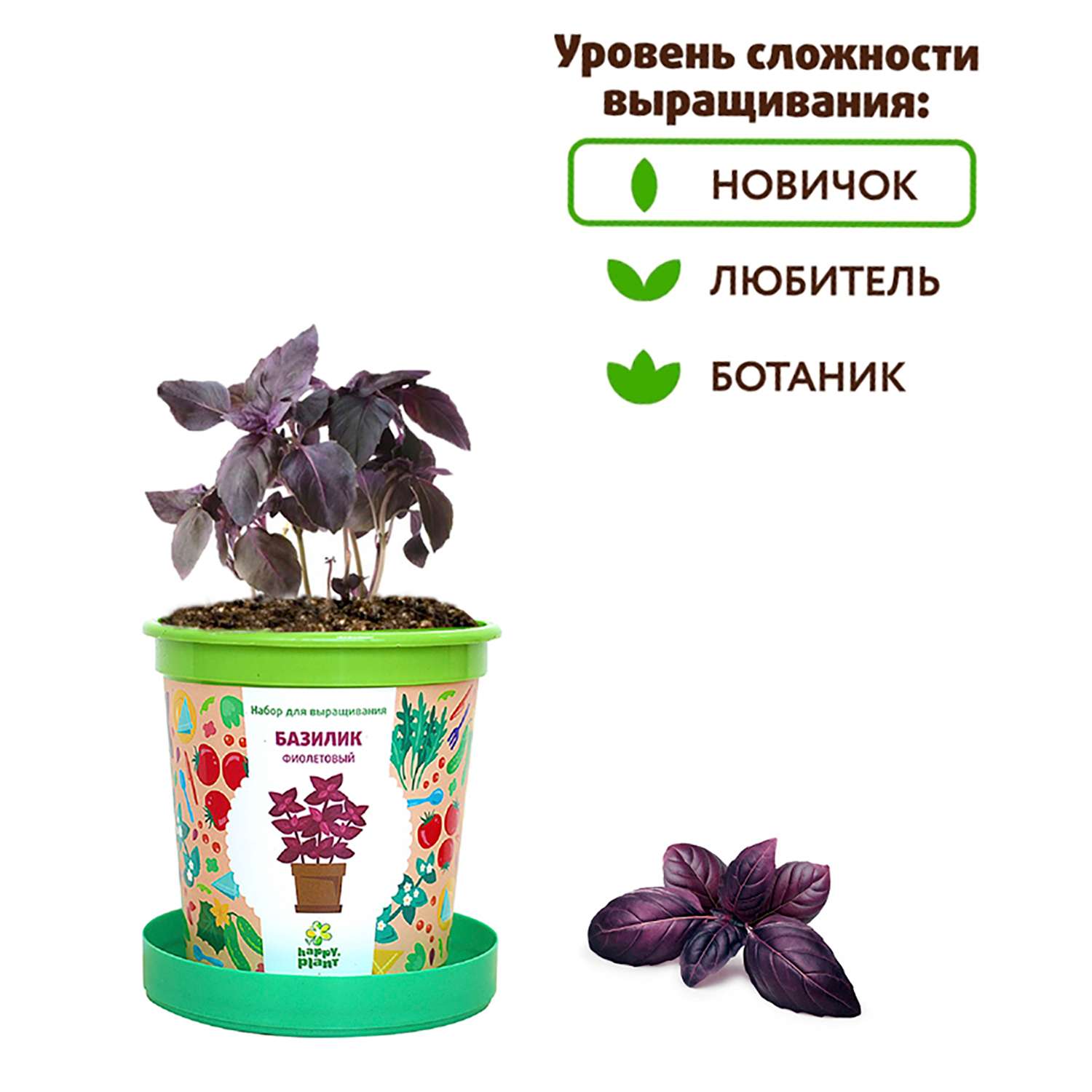 Набор для выращивания Happy Plant Вырасти сам растение в горшочке Базилик фиолетовый - фото 5