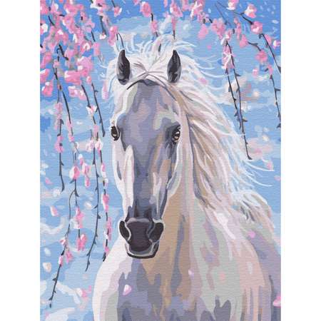 Картина по номерам Цветной Белогривая лошадка 30x40 см