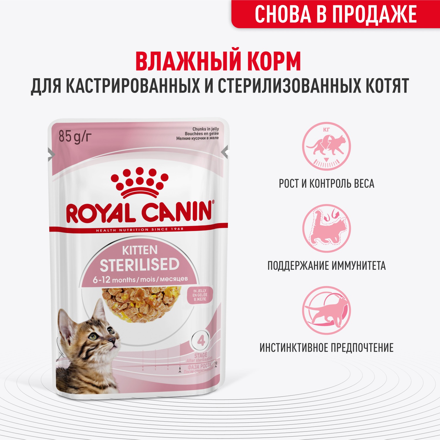 Корм для котят Royal Canin 85г Kitten Sterilised желе для стерилизованных котят пауч - фото 1