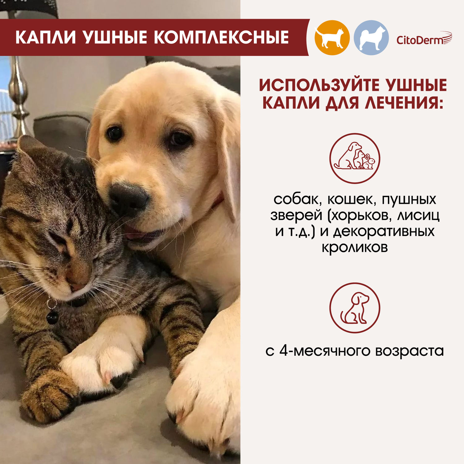 Капли ушные для животных CitoDerm комплексные 10мл купить по цене 663 ₽ с  доставкой в Москве и России, отзывы, фото