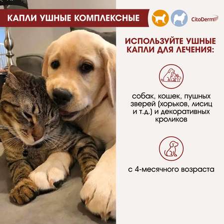 Капли ушные для животных CitoDerm комплексные 10мл