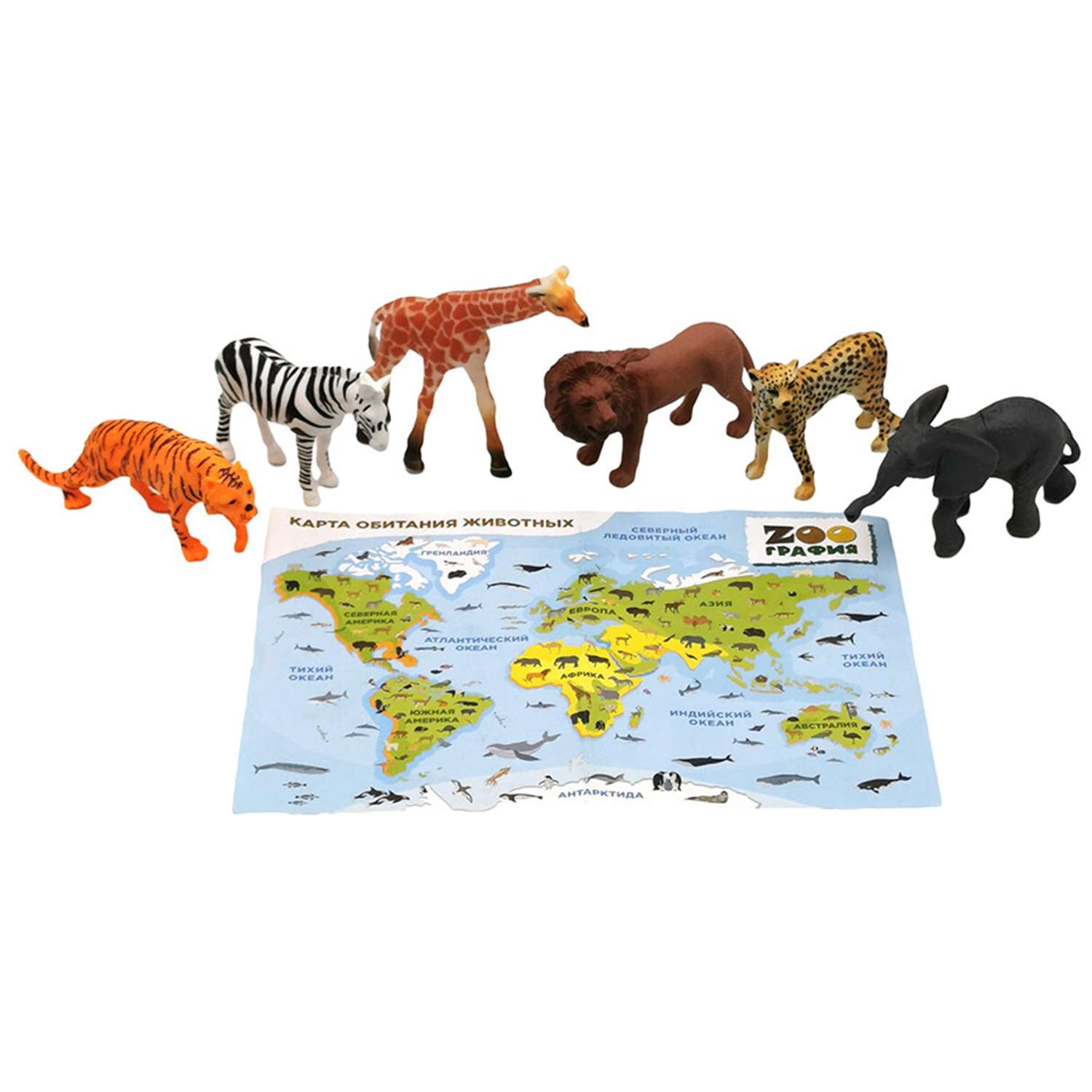 Игровой набор S+S Животные с картой обитания 6 шт Zooграфия - фото 1