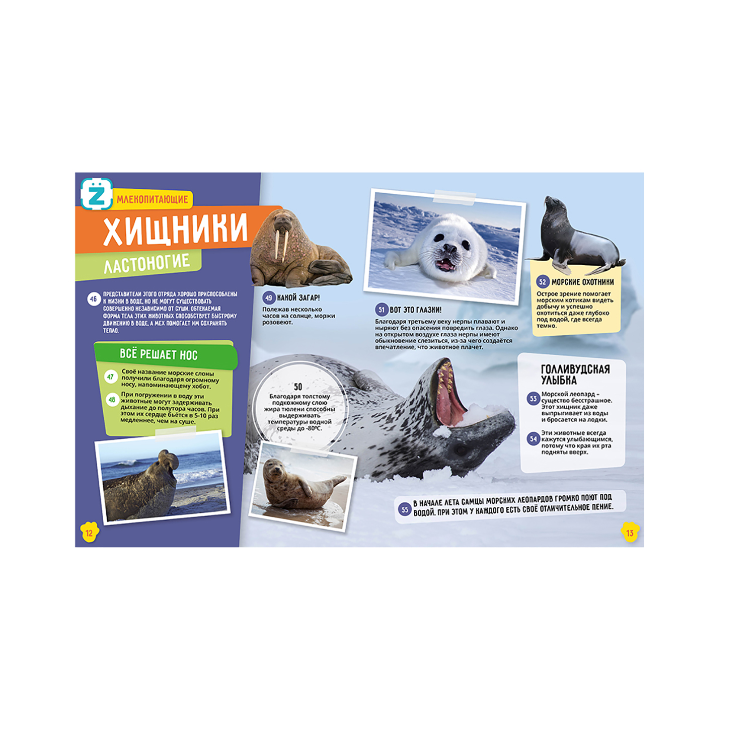 Энциклопедия KidZlab в дополненной реальности Животные 250 невероятных фактов - фото 7
