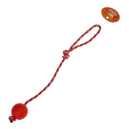 Игрушка Пижон «Шарик на веревке» 5.5 см каучук микс цветов