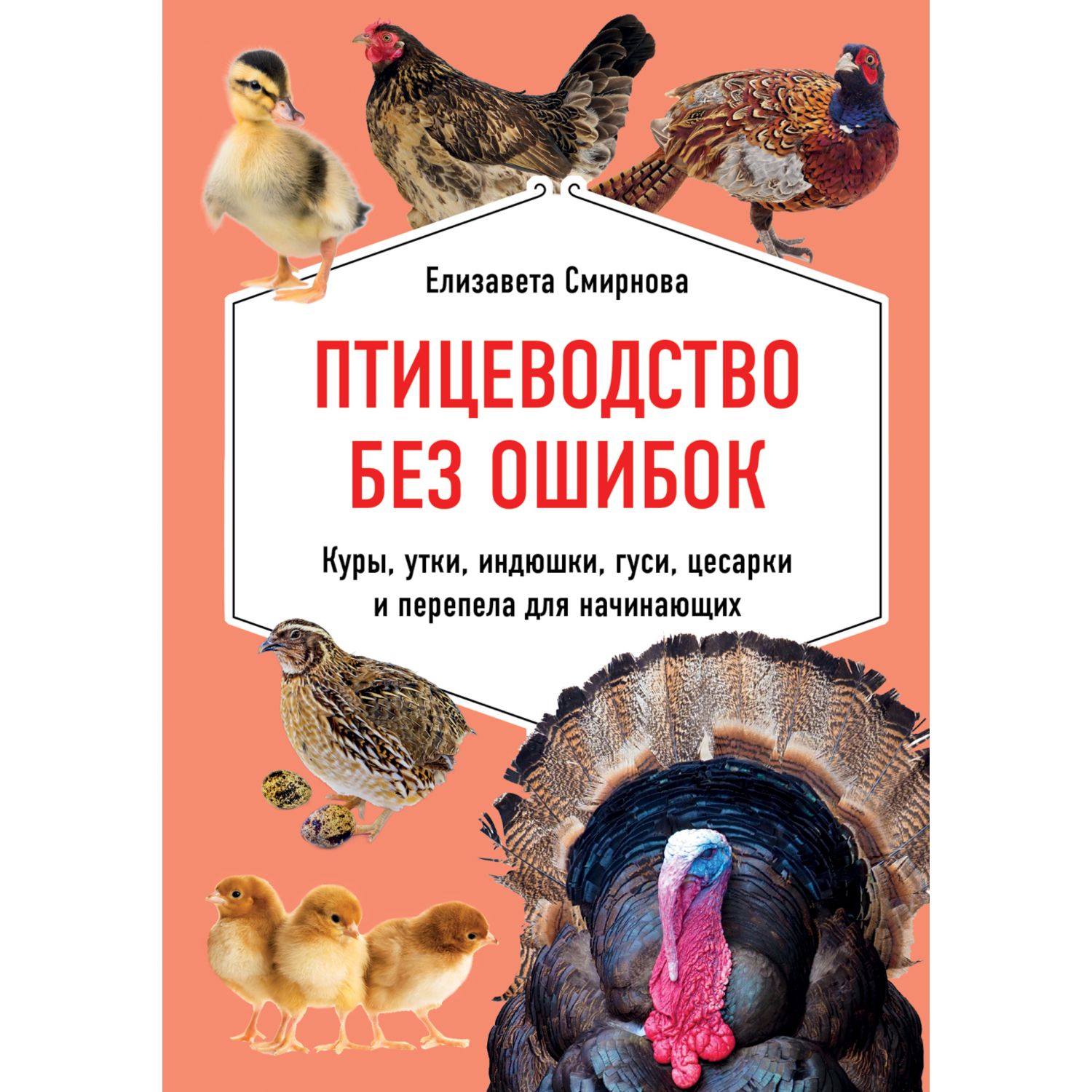 Книга ЭКСМО-ПРЕСС Птицеводство без ошибок Куры утки индюшки гуси цесарки и  перепела для начинающих купить по цене 212 ₽ в интернет-магазине Детский мир