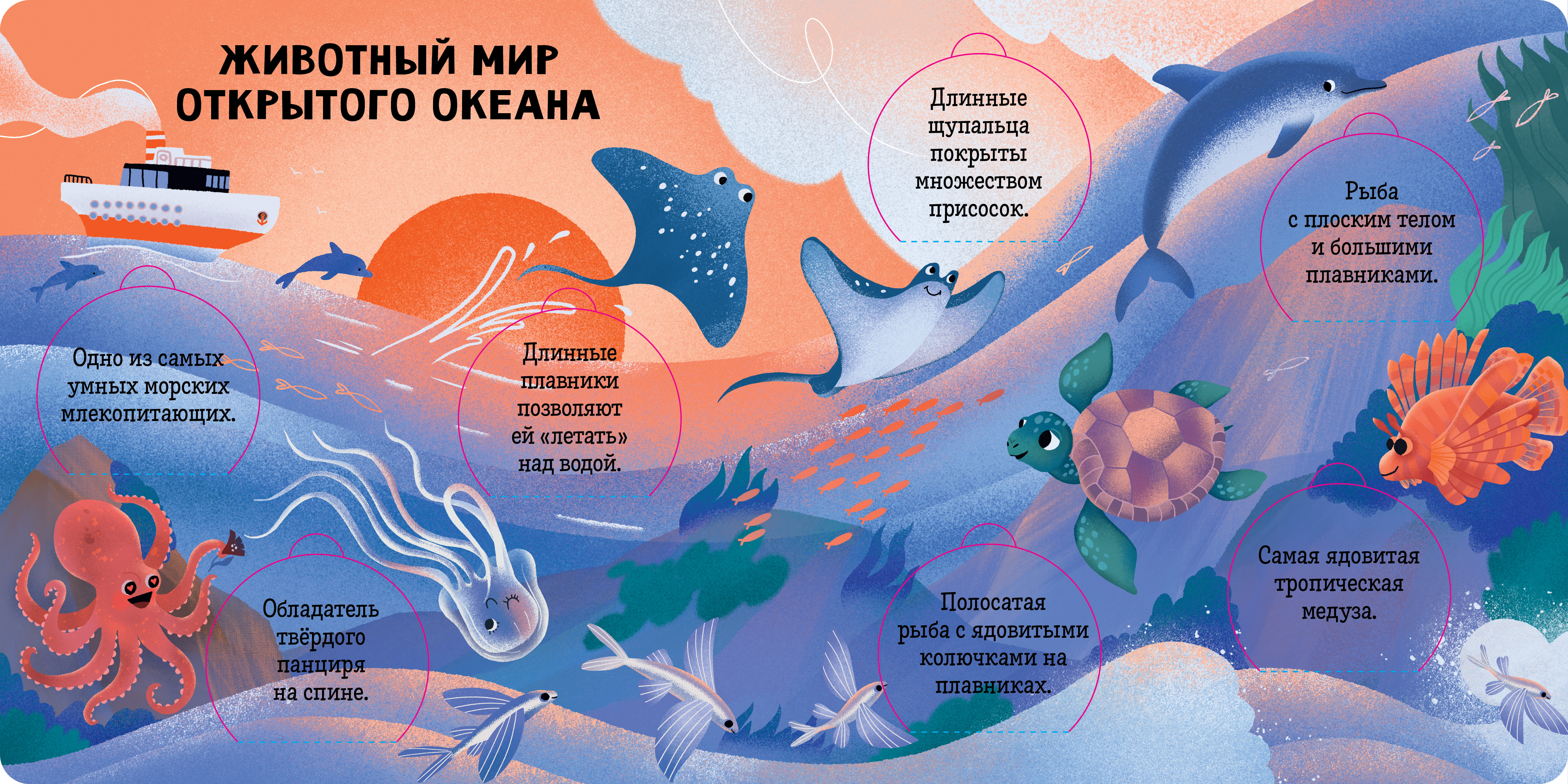 Книжка с окошками Clever Океаны и моря. Энциклопедия с окошками - фото 2