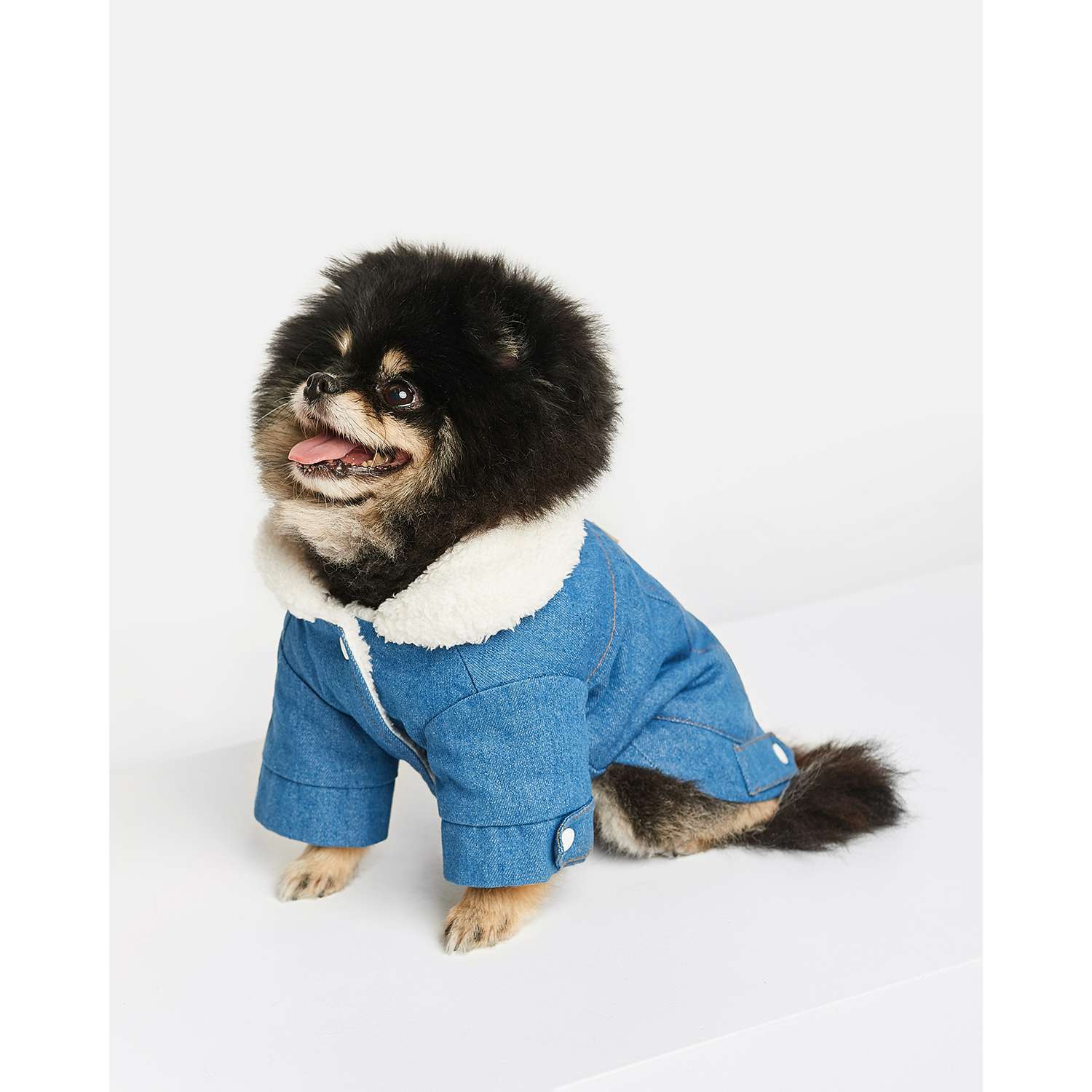 Куртка для собак Zoozavr синий 25 - фото 7