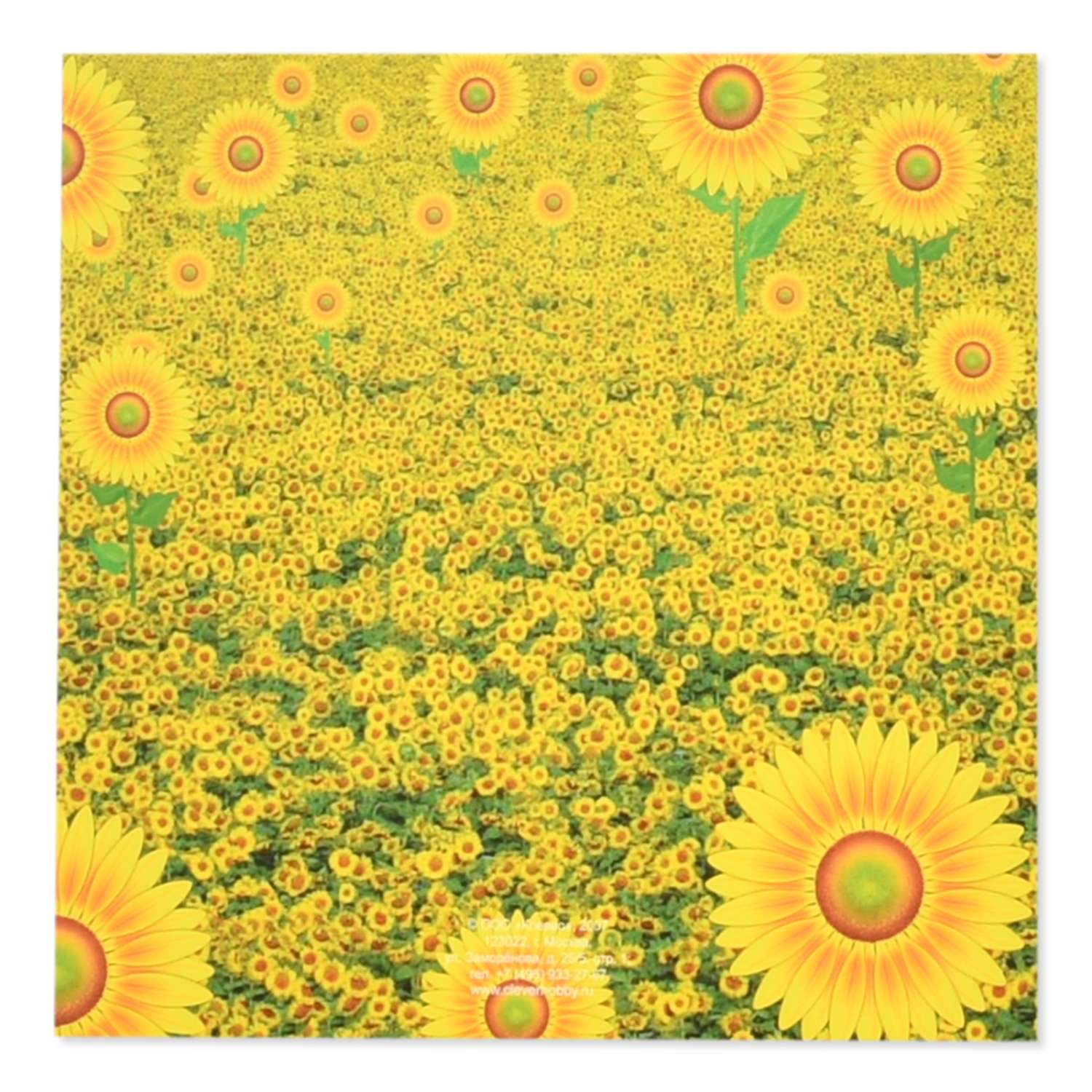 Набор для изготовления открытки КЛЕVЕР Солнечный цветок - фото 3