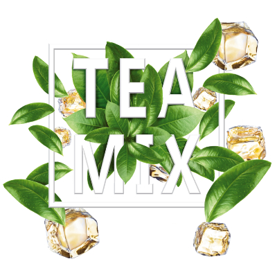 TEAMIX