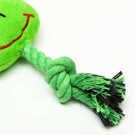 Игрушка для собак Пижон мягкая «Лягушка с канатом» с пищалкой зелёная