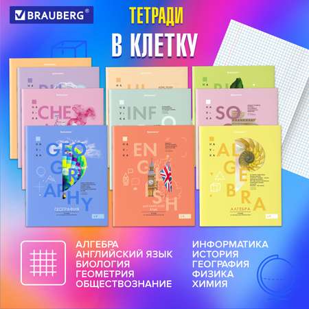 Тетради Brauberg школьные со справочным материалом в клетку/линейку 12 предметов 48 листов Vision