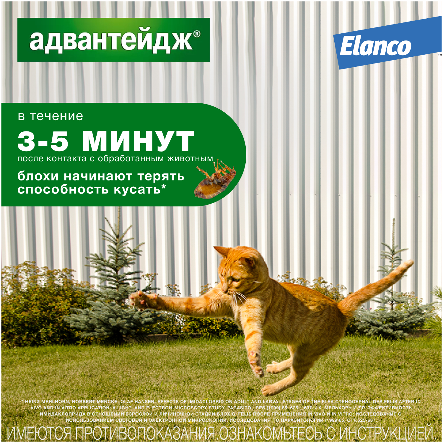 Капли для котят и кошек Elanco Адвантейдж против блох 1пипетка - фото 4