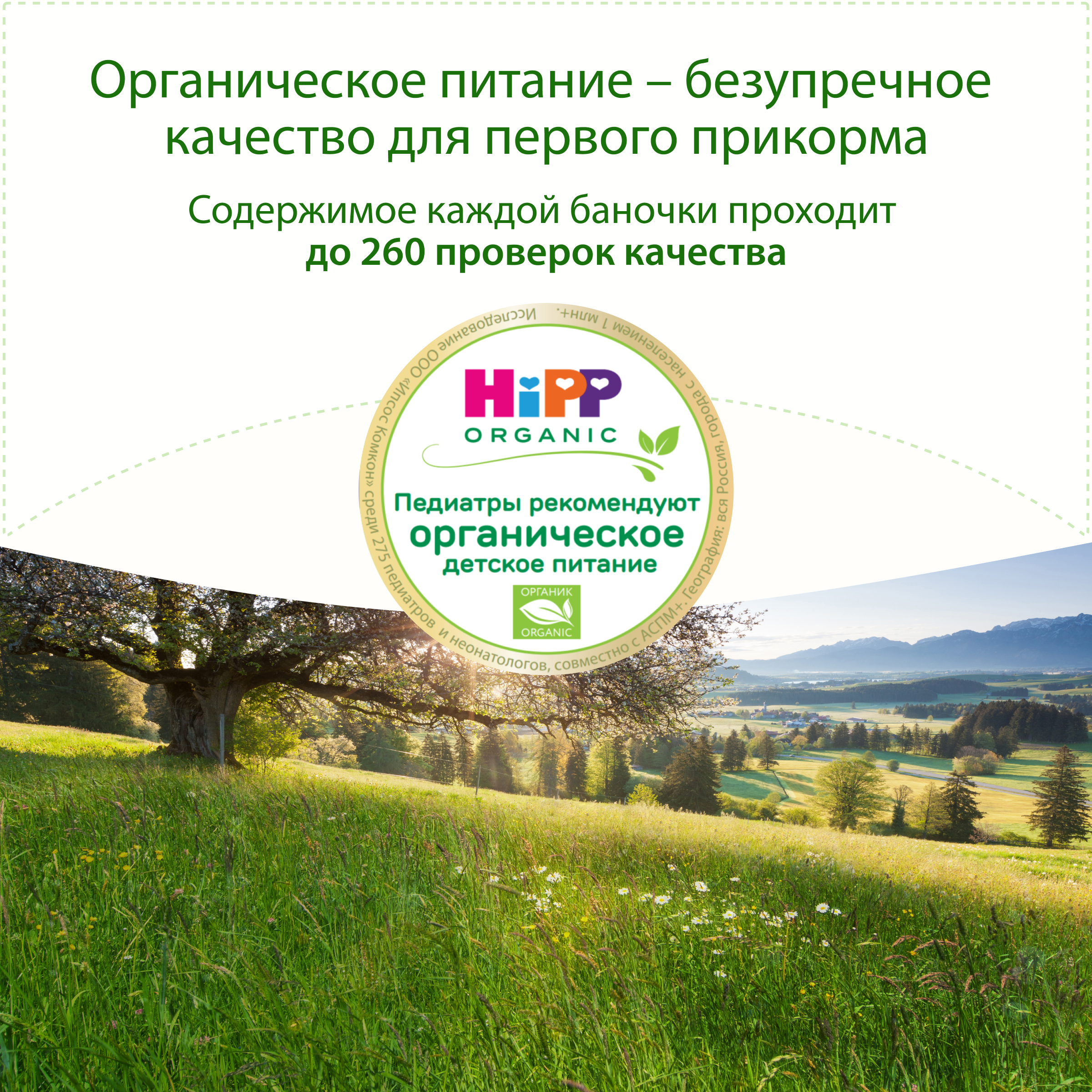 Крем-суп Hipp овощи-телятина 190г с 6месяцев - фото 3