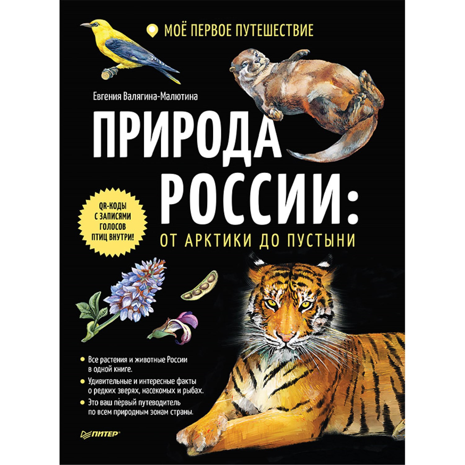 Книга ПИТЕР Природа России от Арктики до пустыни Моё первое путешествие  купить по цене 573 ₽ в интернет-магазине Детский мир