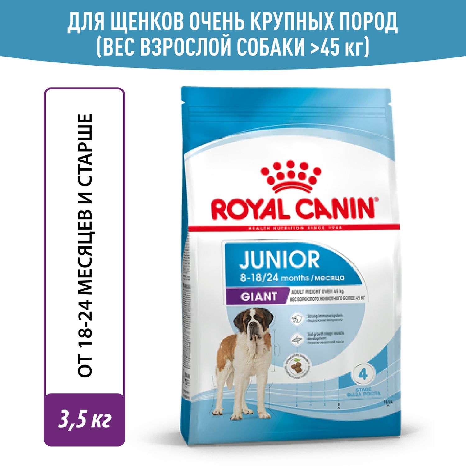 Royal canin pediatric junior best sale large dog