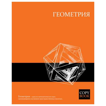 Тетрадь тематическая Феникс + Яркие Знания Геометрия 48л 47060