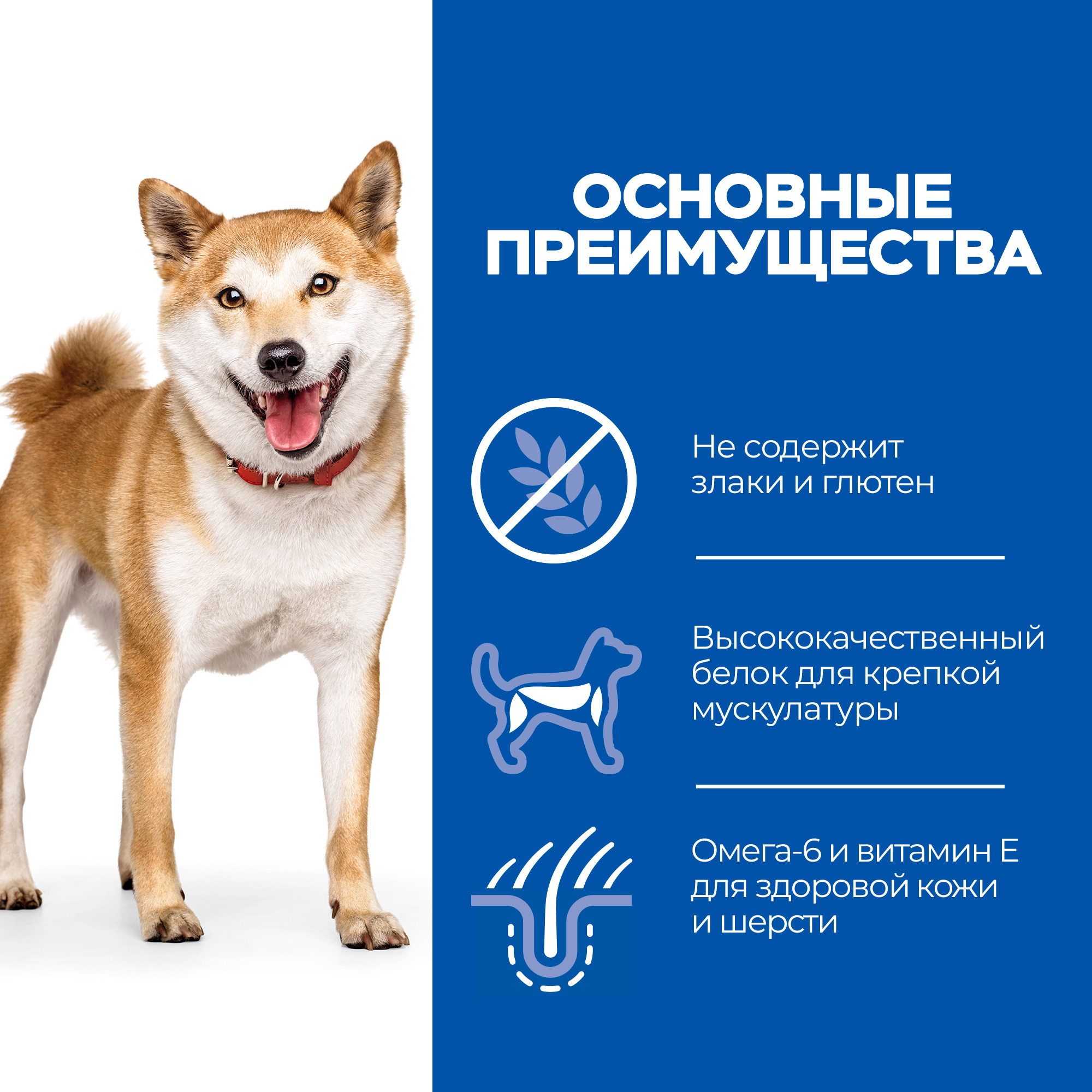 Корм для собак HILLS Science Plan No Grain средних пород беззлаковый с курицей и картофелем сухой 2.5кг - фото 4