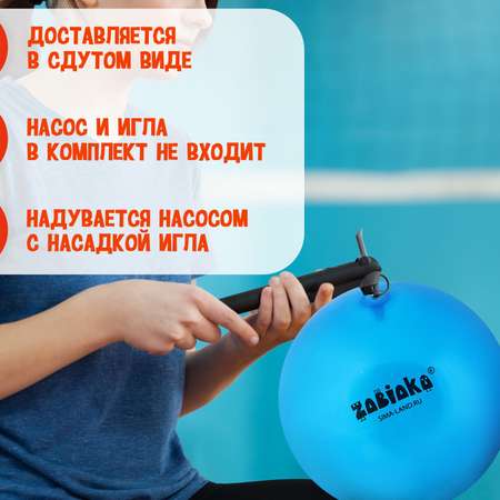Мяч Zabiaka детский «Дельфинчик» 22 см 60 г цвет синий
