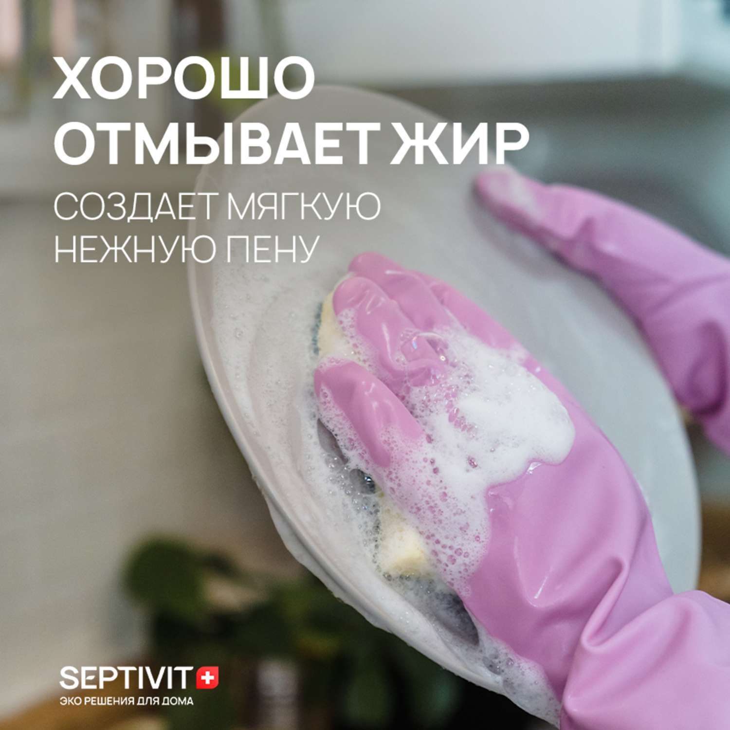 Средство для мытья посуды SEPTIVIT Premium Имбирное печенье 1л - фото 2