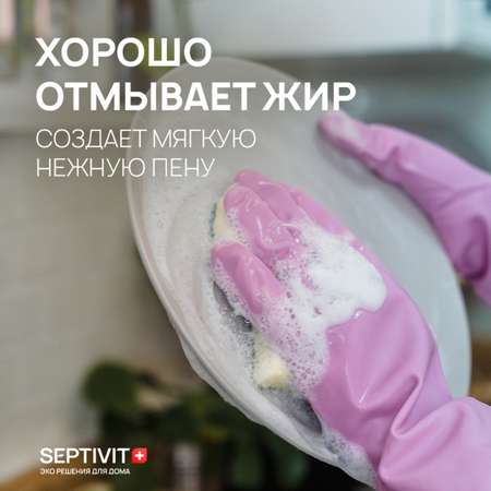 Средство для мытья посуды SEPTIVIT Premium Имбирное печенье 1л