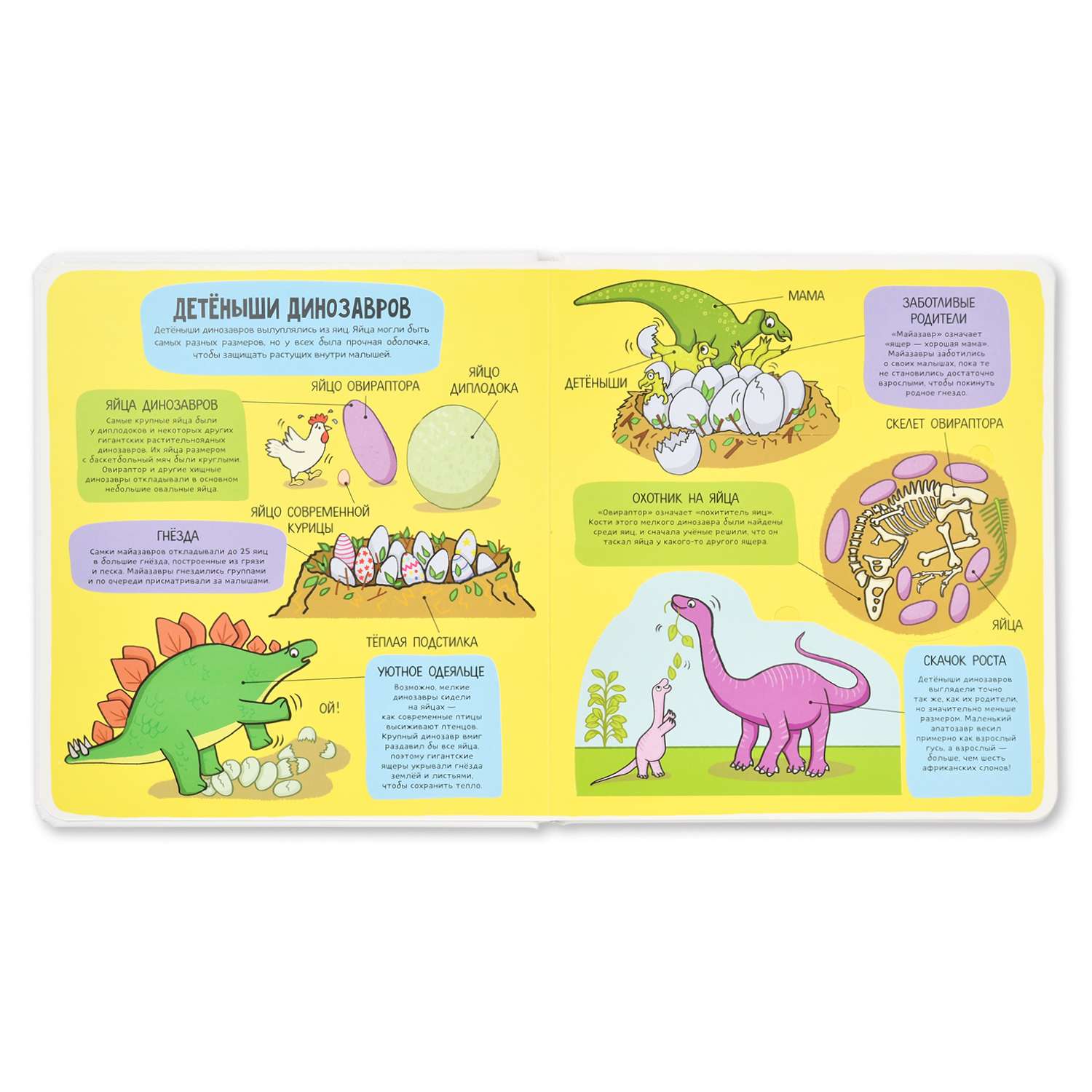 Книга Clever Маленькие исследователи книжки с клапанами Динозавры - фото 2