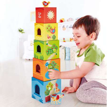 Игрушка Hape кубики Кубики Башня Дружбы