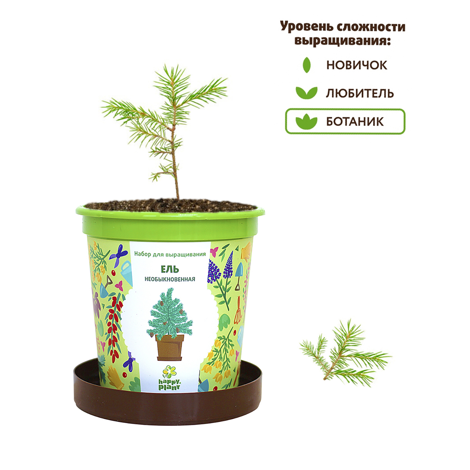 Набор для выращивания Happy Plant Вырасти сам растение в горшочке Ель  необыкновенная купить по цене 335 ₽ в интернет-магазине Детский мир