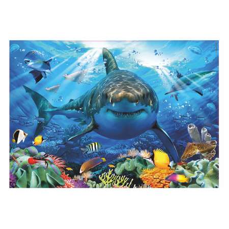 Пазл EDUCA 500 деталей Большая белая акула