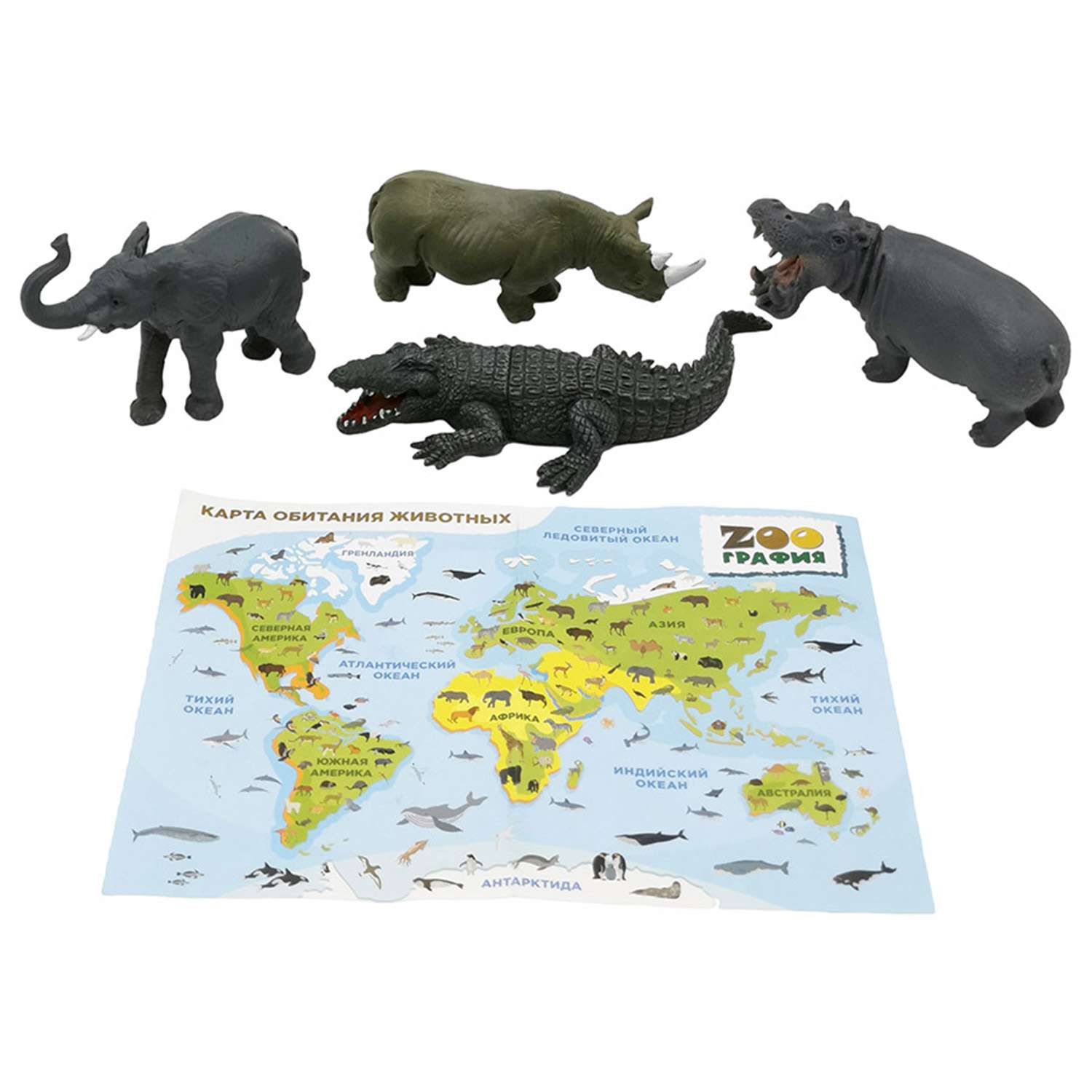 Игровой набор S+S Животные с картой обитания 4 шт Zooграфия - фото 1