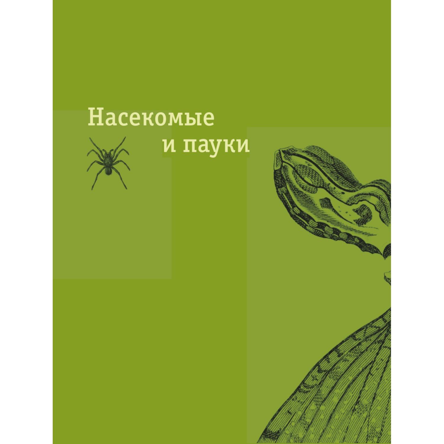 Книга Редкие и удивительные животные нашей планеты Энциклопедия для детей - фото 5