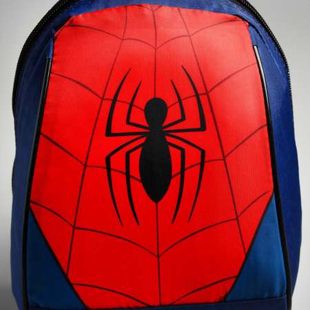 Рюкзак детский Marvel отдел на молнии 20 х 13 х 26 см «Супер-мен» Человек Паук
