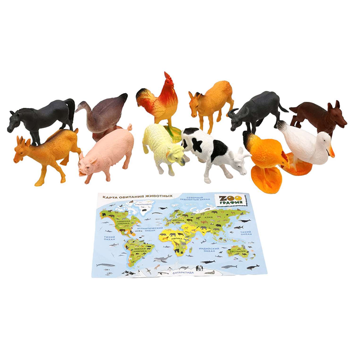 Игровой набор S+S Домашние животные с картой обитания 12 шт Zooграфия - фото 1