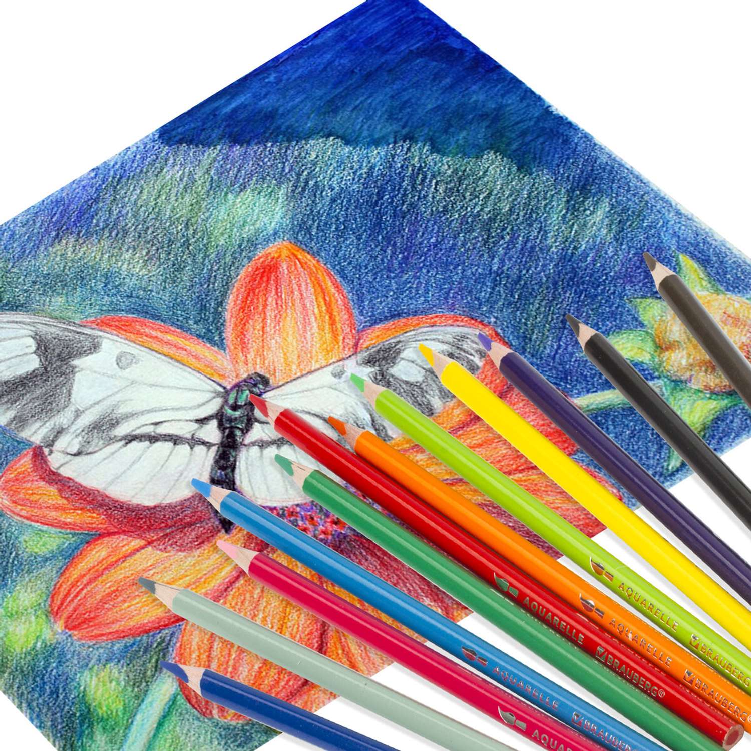 Карандаши цветные Brauberg акварельные трехгранные 12 цветов грифель мягкий - фото 15