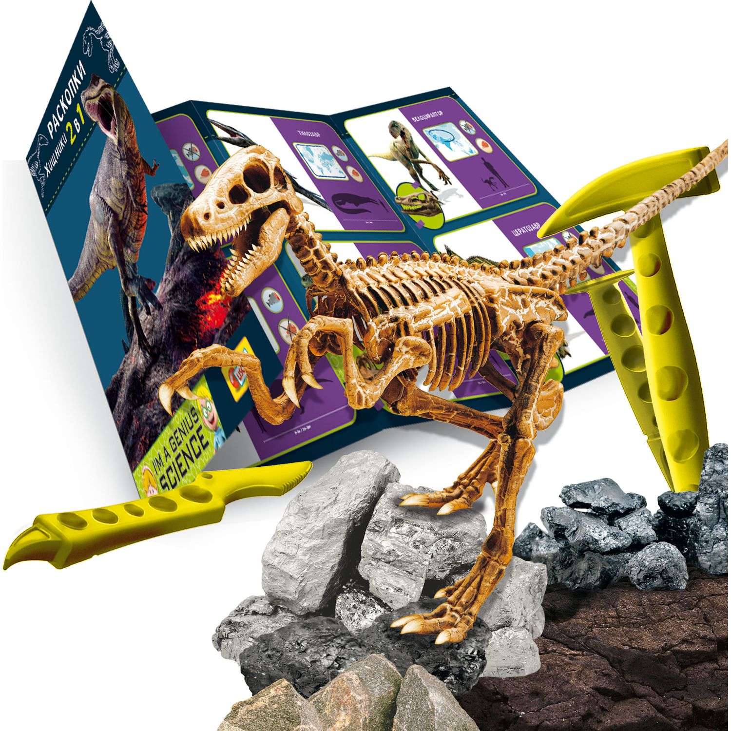 Подарочный набор археолога Lisciani Тираннозавр и Велоцираптор - фото 5