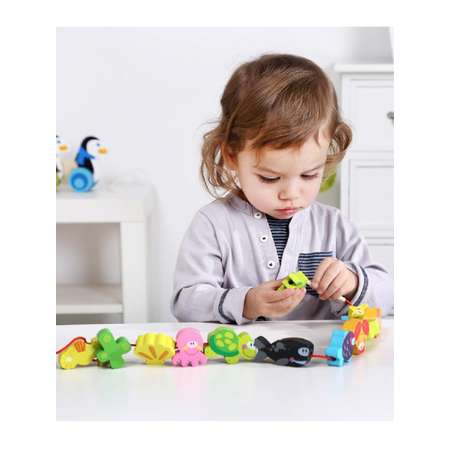 Шнуровка Tooky Toy Морские жители 13 элементов TKB511-B