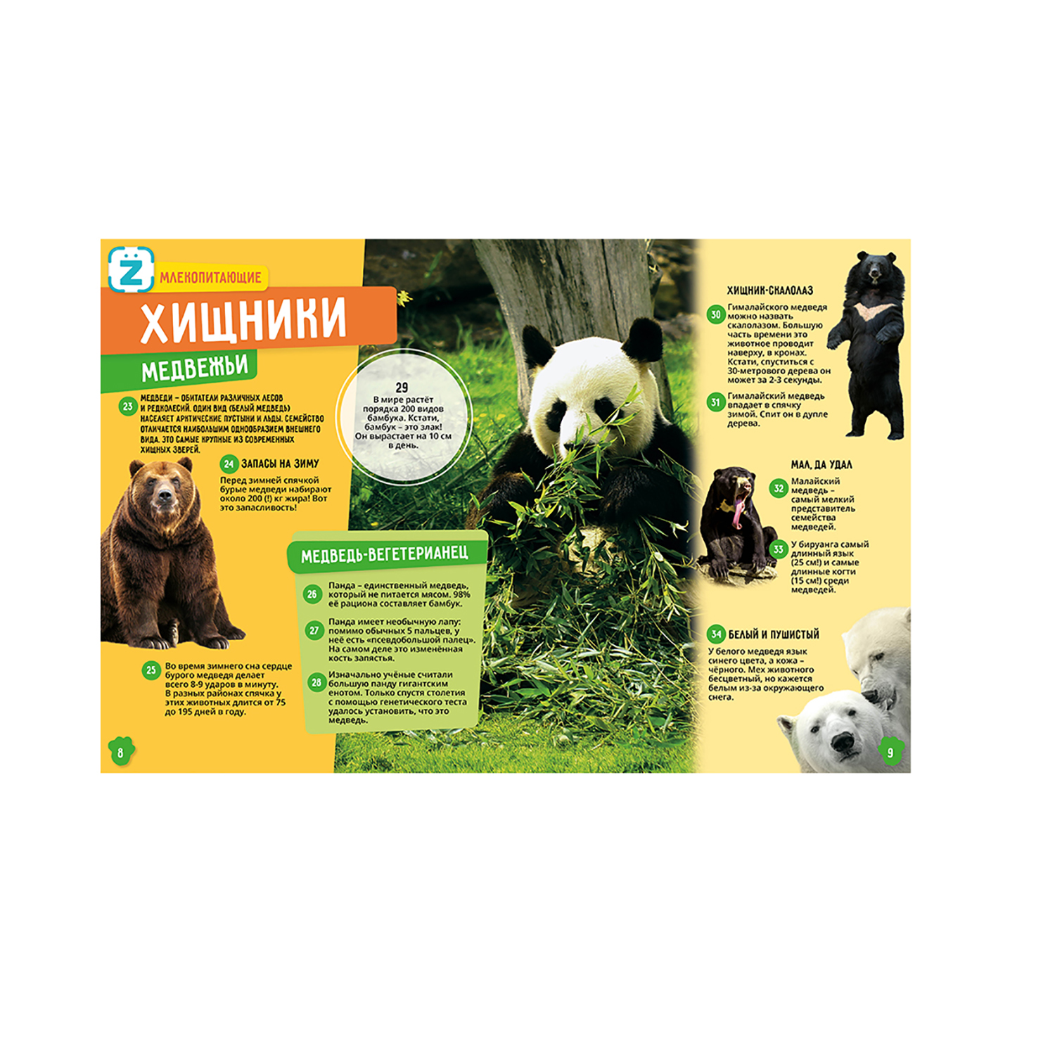 Энциклопедия KidZlab в дополненной реальности Животные 250 невероятных фактов - фото 8