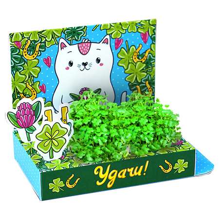 Набор для выращивания Happy Plant Вырасти сам микрозелень Живая открытка Удачи! Котик