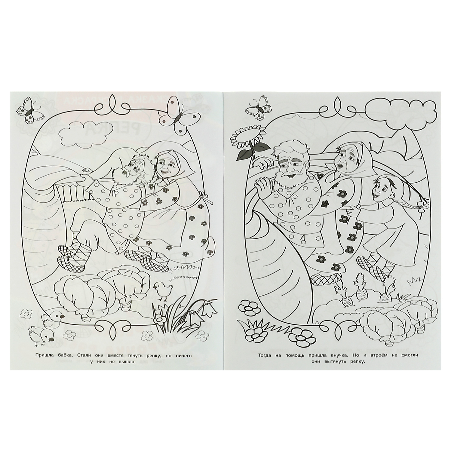 Книга Умка Сказка-раскраска Репка Курочка Ряба 332063 - фото 2