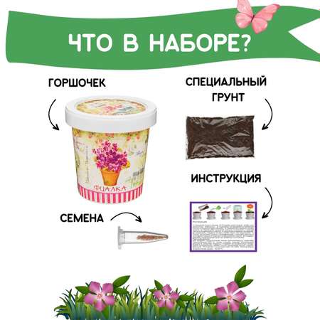 Набор для выращивания растений Rostok Visa Вырасти сам цветок Фиалка в подарочном горшке