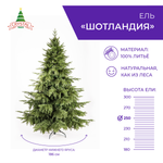 Ель Crystal Trees шотландия 250 см