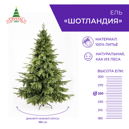 Ель Crystal Trees шотландия 250 см